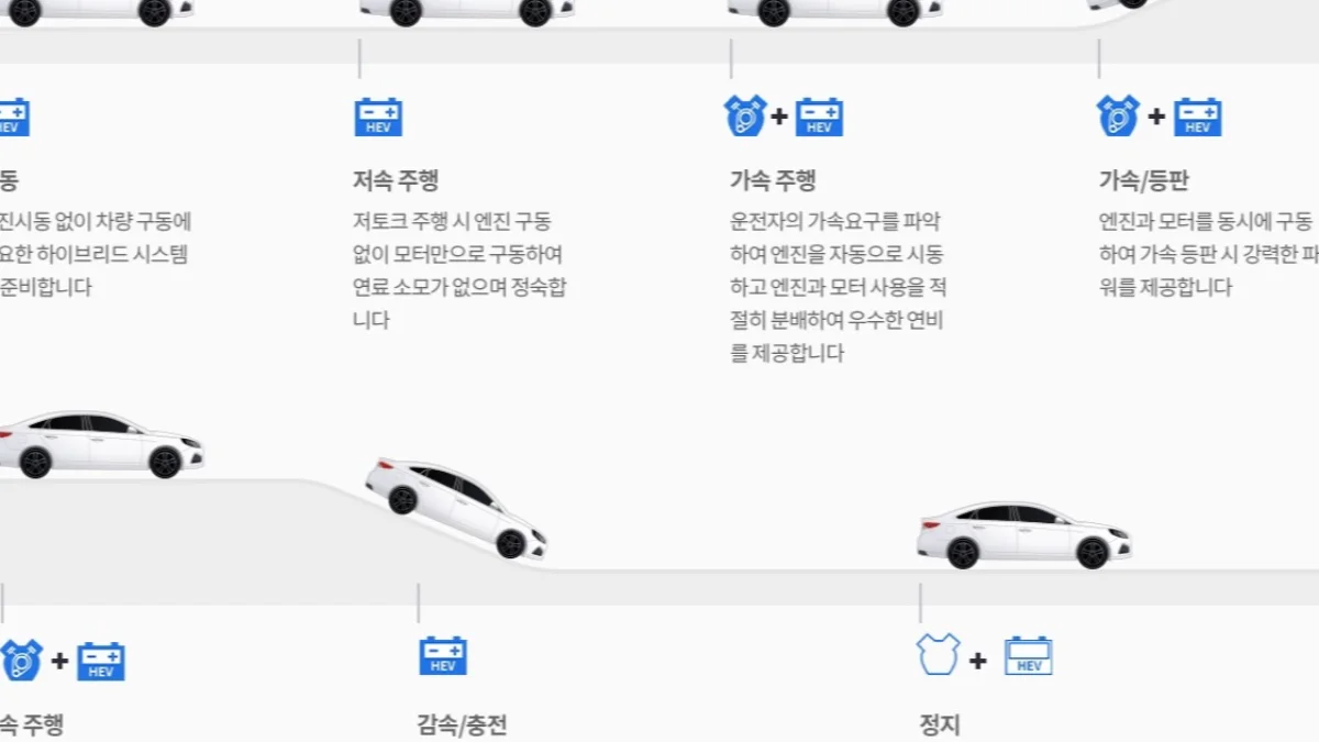 개별소비세와 취득세 감면이 모두 올해 말 일몰 예정입니다